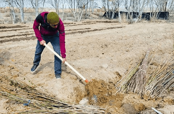 Our Environment-3.png