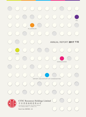 2017年年度報告