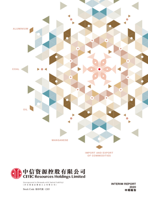 2020年中期報告