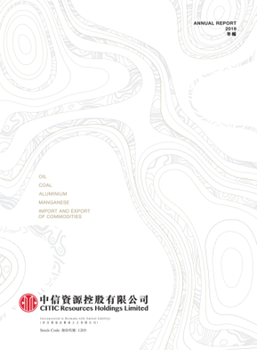 2019年年度報告