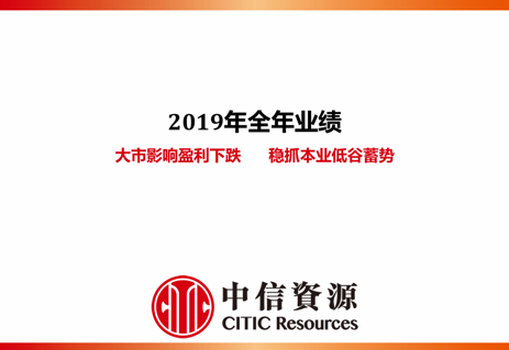 2019年年度業績推介材料