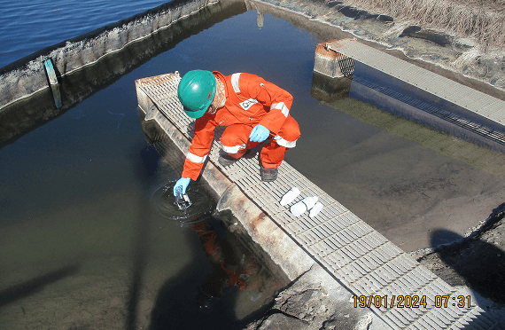 Our Environment-2.png