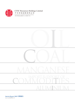 2009年中期報告